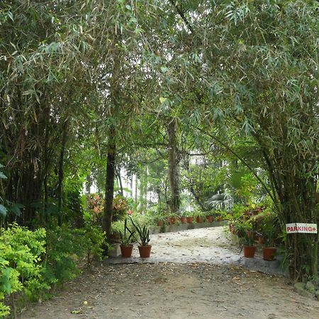 Coffee Island Resort Kaniyāmbetta Extérieur photo