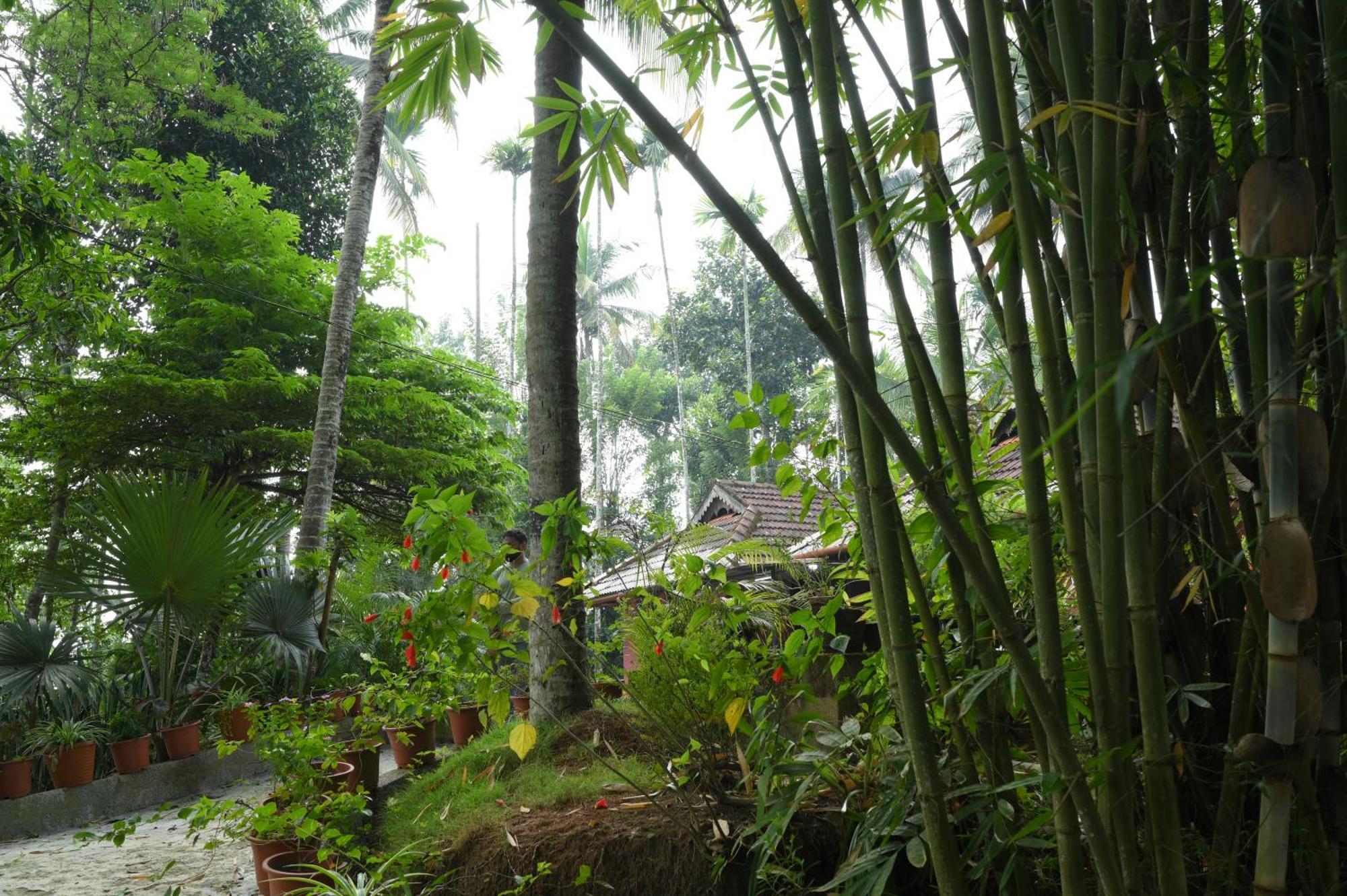 Coffee Island Resort Kaniyāmbetta Extérieur photo