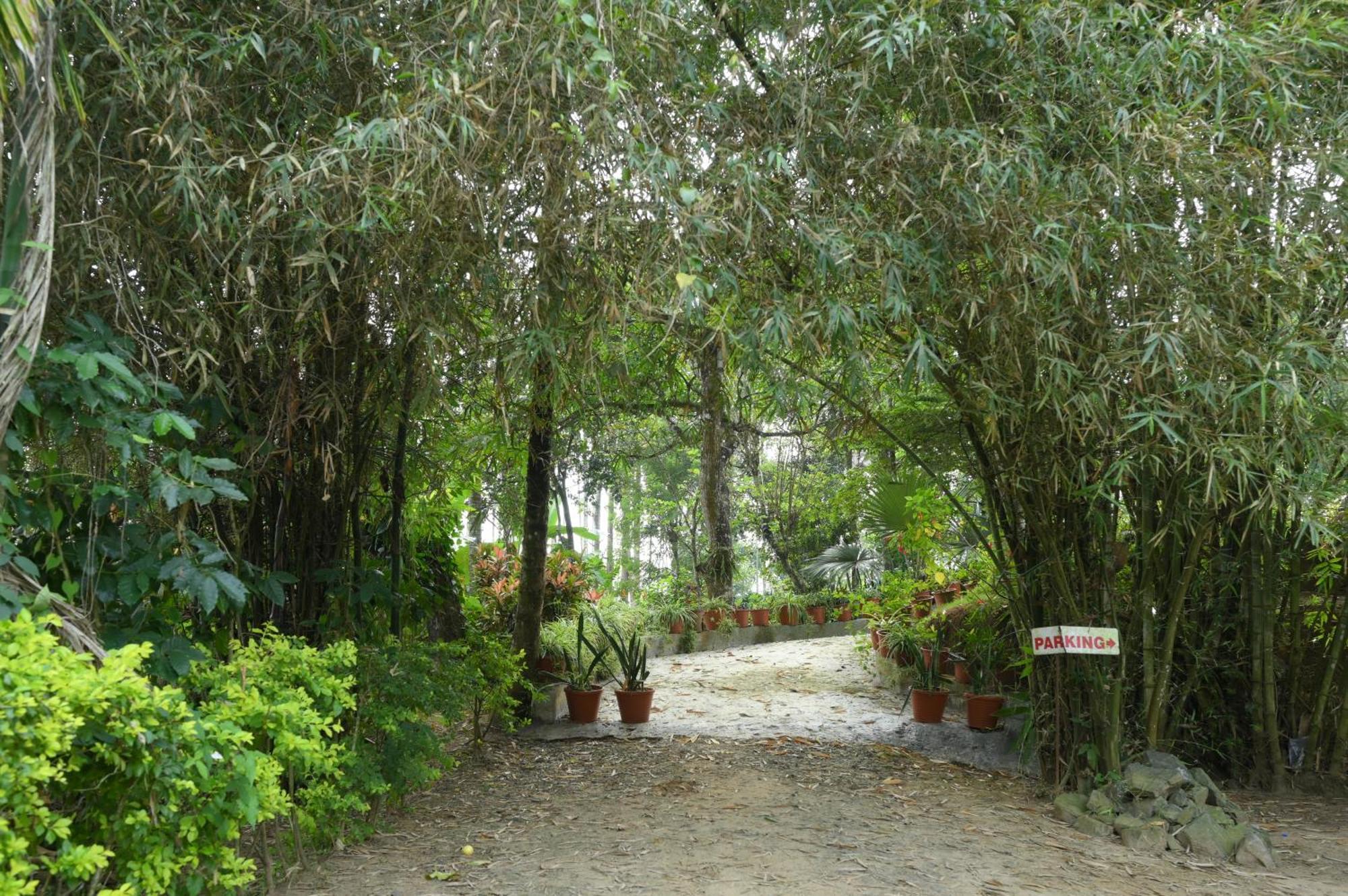 Coffee Island Resort Kaniyāmbetta Extérieur photo