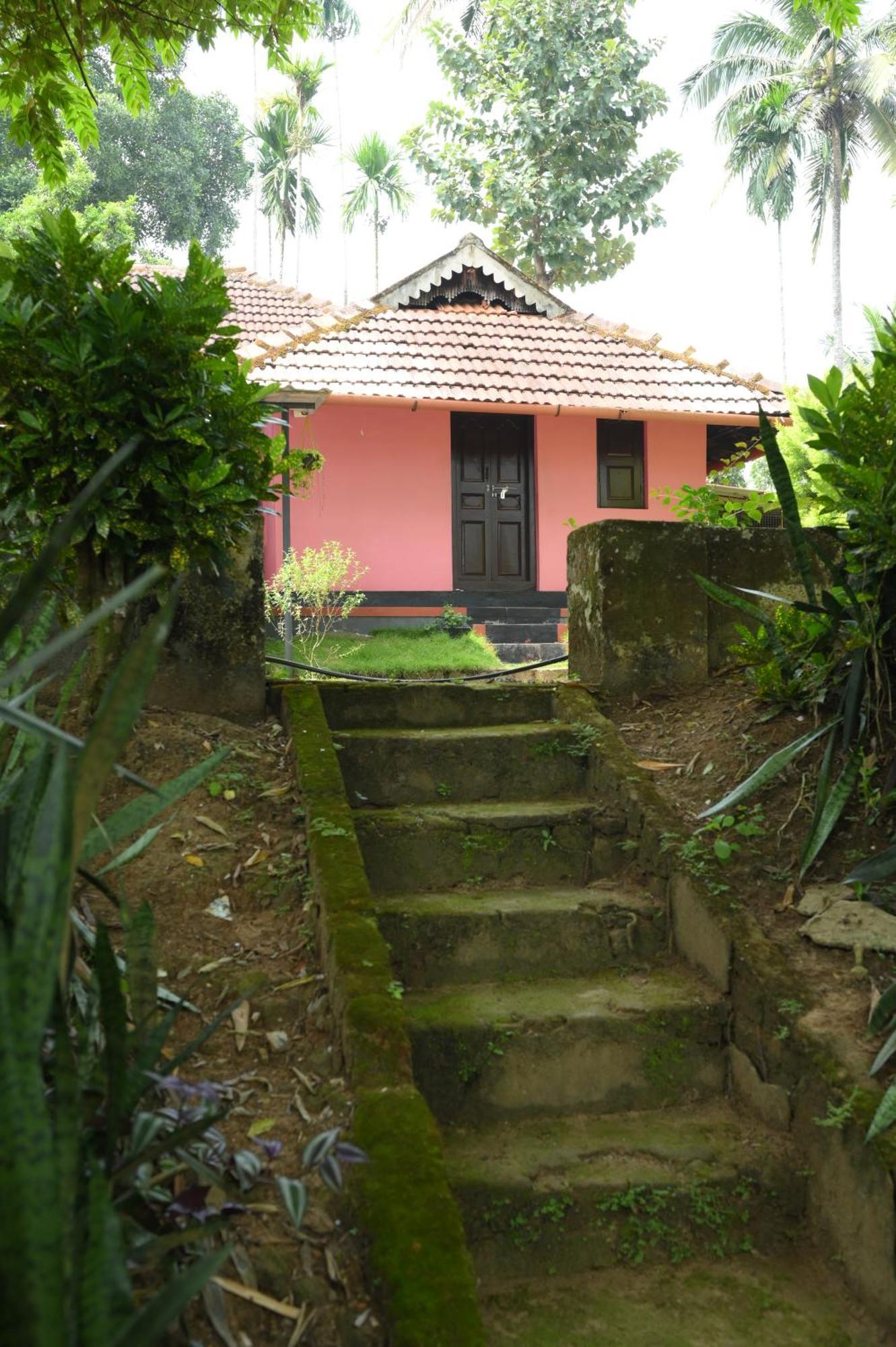 Coffee Island Resort Kaniyāmbetta Extérieur photo