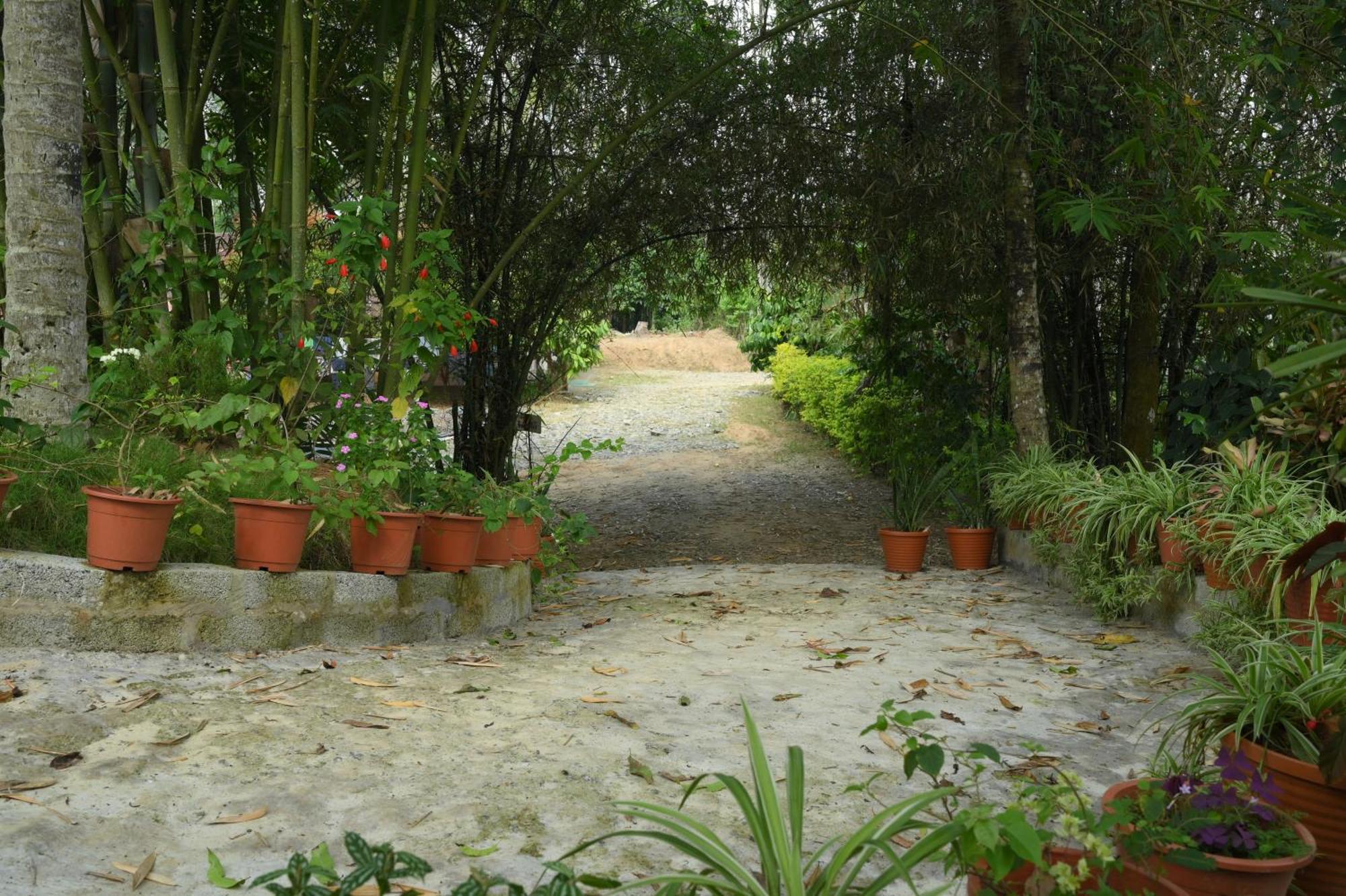 Coffee Island Resort Kaniyāmbetta Extérieur photo