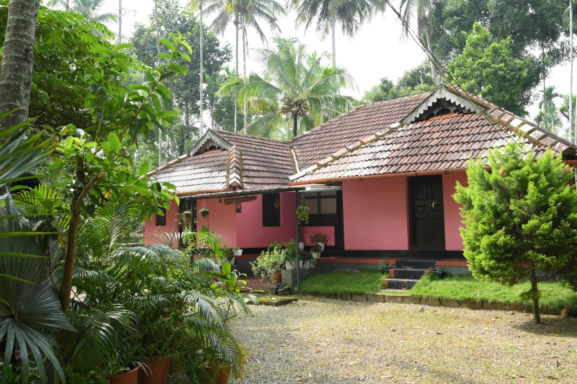 Coffee Island Resort Kaniyāmbetta Extérieur photo